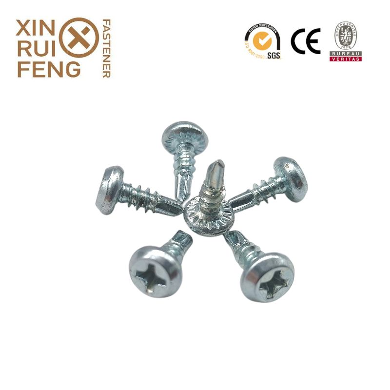 Export Chinese Phillips No.2 Fillister Pan Framing Head Self Drilling Screw