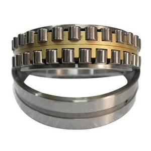 Manufacturer for China Cylindrical Roller Bearing Thrust Bearing N/Nu/NF/Nj/Nup/Ncl/Rn/Rnu Single Double Row