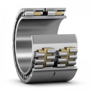 Hot-selling China Double Row Full Compliment Cylindrical Roller Bearing, SL045009 PP