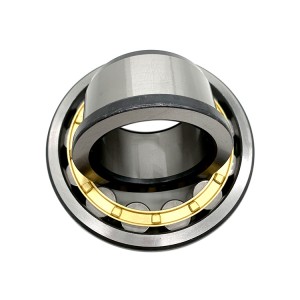 cylindrical roller locating bearing