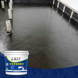 Xinruili waterproof paint for walls and roofs