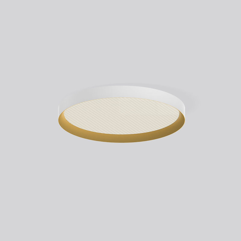 Surface Mounted LED Ceiling Light Round Ultra-thin Ceiling Lamp Home Hallway Living Room Bedroom Lighting