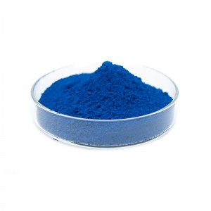 Big discounting Pigment Powder Red - Industrial Grade Inorganic Pigments Iron Oxide Blue 461 463 Powder – Xuan Tai