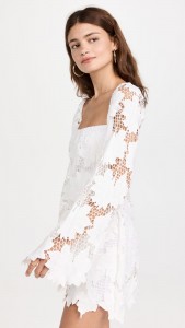 Sexy Hollow Out Long Sleeve Lace Mini Dress