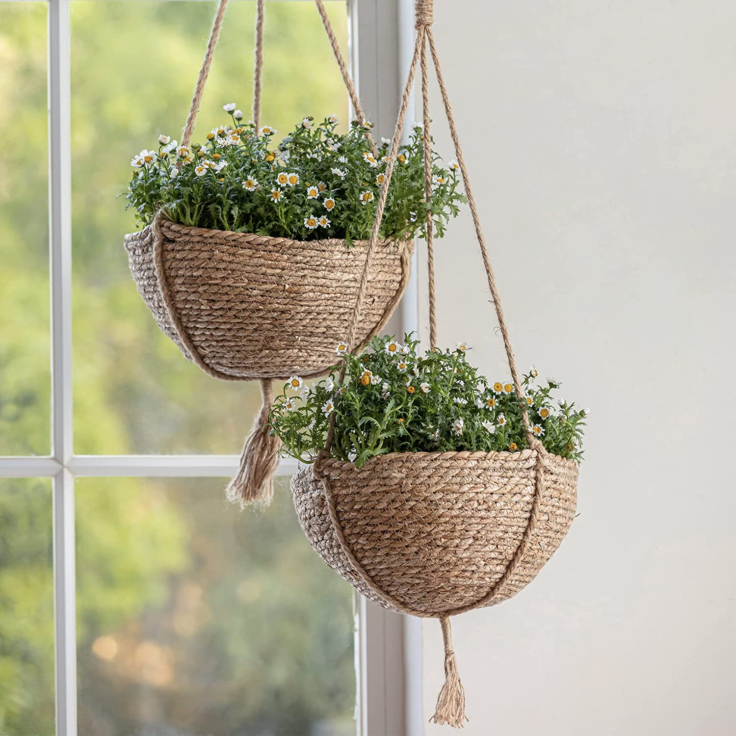 Natural Seagrass Hanging Planter Basket Set, Indoor Plant Pots, Boho Decor Plant Pot Cover, 12.4 (D) 6.3 (H) Inch Featured Image