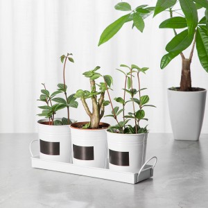 Set of 3 Pots & Tray,Window Planter Box, Indoor Herb Planter Garden Pots, White