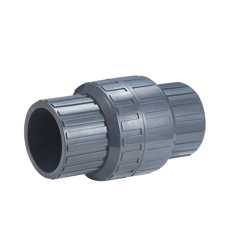 Wholesale China 15mm Valve Manufacturers Suppliers - Check Valve X9501  – Xushi