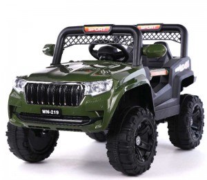 X-C-026 Electric Kids Ride On Car Single Drive Car Battery Music Remote control Green