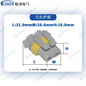 Factory direct sales gray 2 hole 9005 female car connector