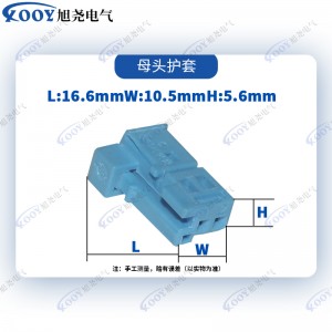 Factory direct blue 2 hole 1-1418639-1 car connector