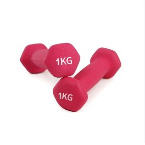 Bone Dumbbells Set Hand Weights Gym Dumbbells Home Exercise 2-10KG