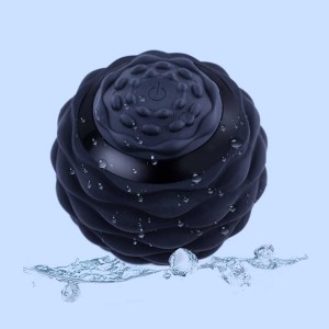 new products home gym electric foam Roller heating Peanut vibrating massage back ball Exercise Ball