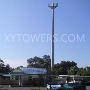 25M Self Supporting Steel Pole Mobile Cell Site Telecom Monopole