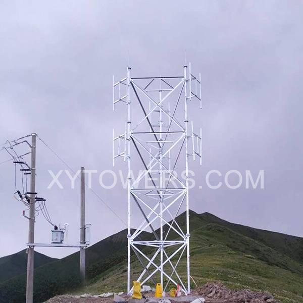 12m-telecommunication-tower-adjustment
