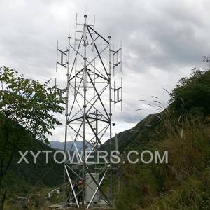 12m Telecommunication Tower Inspection