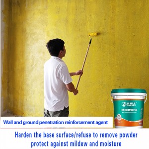 Wall and ground interface agent