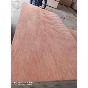 BINTANGOR FACED PLYWOOD FOR FURNITURE AND PACKING