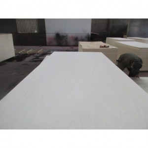 Factory Free sample ply cabinet - FANCY VENEER PLYWOOD FOR FURNITURE  – HUALIN
