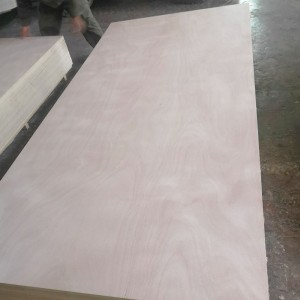 OKOUME FACED PLYWOOD FOR FURNITURE AND PACKING