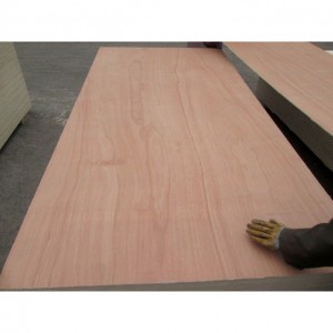 PENCIL CEDAR FACED PLYWOOD FOR FURNITURE AND PACKING