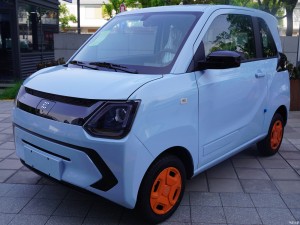 Dongfeng Fengguang mini ev 220KM electric car