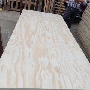 Pine veneer radiant camphor plywood quality multi-layer furniture boards plywood
