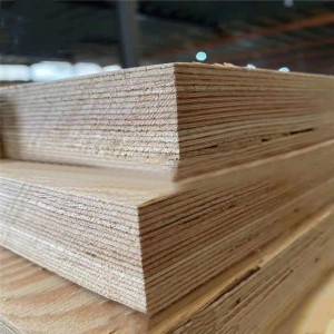 Larch LVL for Gym Paving 0557