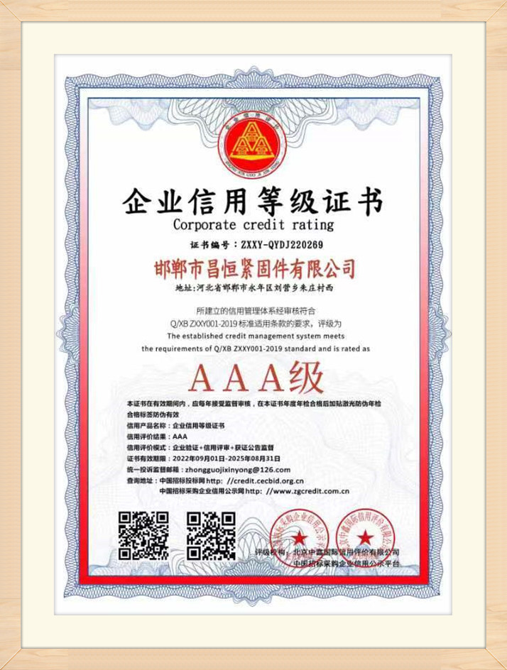 Honorary Certificate (11)