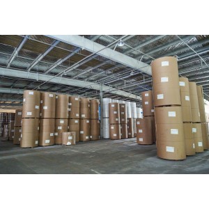 High Bulk Folding Boxboard/ Multi-Ply Gc1/ Multi-Ply Gc2 available in rolls or sheets