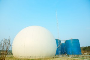 Biogas Plant Use Double Membrane Gas Holder Biogas Tank