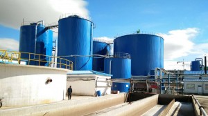 Waste Anaerobic Biogas Storage Tank Prevent Rust For CHP