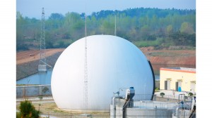 Energy Saving Membrane Gas Holder , LNG Biogas Purification Equipment