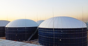 High quality double-membrane biogas holder roof direct manufacturer