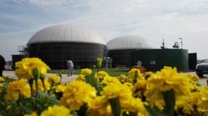 Double membrane biogas storage tank roof