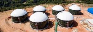 YHR biogas holder roof with double membrane biogas digester use