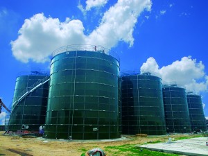 High Quality Cow Farm Biogas Anaerobic Digestion Tank