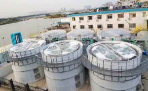 Cow Manure Biogas Glass Fused To Steel Water Tanks With Fixed Cover