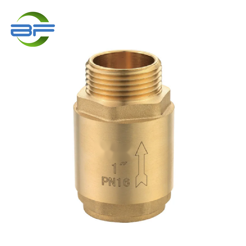 OEM High Quality Compression Fitting for multilayer pipe Exporter –  CV006 BRASS SPRING CHECK VALVE PLASTIC DISC FXM – Yehui