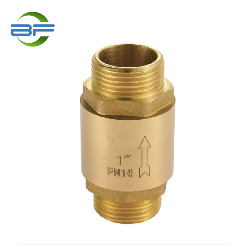 China wholesale PPR Pipe Fitting Factories –  CV007 BRASS SPRING CHECK VALVE PLASTIC DISC MXM – Yehui