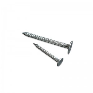 Stainless Steel Ring Shank Framing Nails