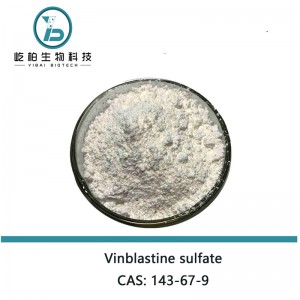 China Cheap price Temozolomide - High Purity Pharmaceutical Grade 143-67-9 Vinblastine sulfate for Tumour Treatment – Yibai