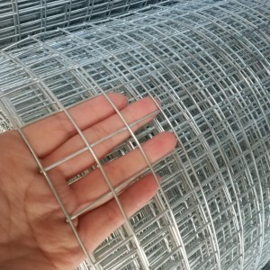 PVC coated welded wire mesh For Pakistan market