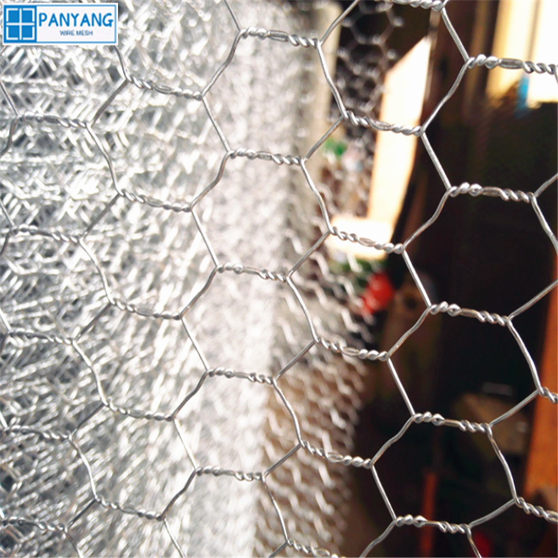 Galvanized hexagonal wire mesh (1)