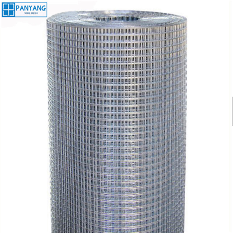 electro galvanized welded wire mesh roll Featured Image