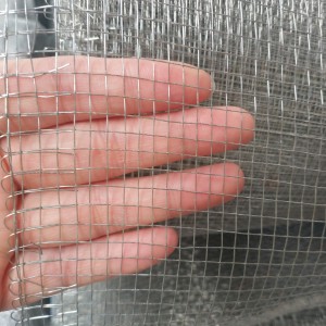 galvanized square mesh 12*12mesh