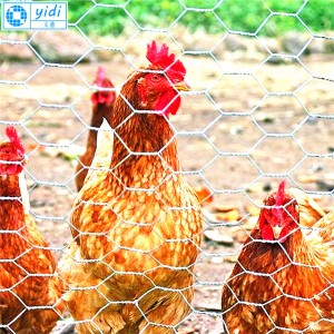 Factory Outlets China Electro Galvanized Chicken Wire Mesh