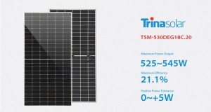 Trinasolar PV moduluak Mono Bifacial eguzki-zelula 525W - 545W eguzki panelen energia salgai