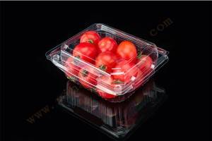 200G GLD-200G PET clamshell container