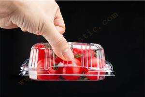 200G GLD-200G PET clamshell container