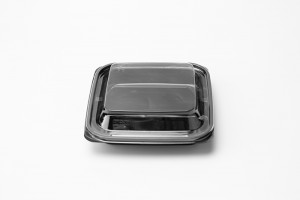 GLD-E02（black) 400g black square 2-compartment fruit cut salad Platter